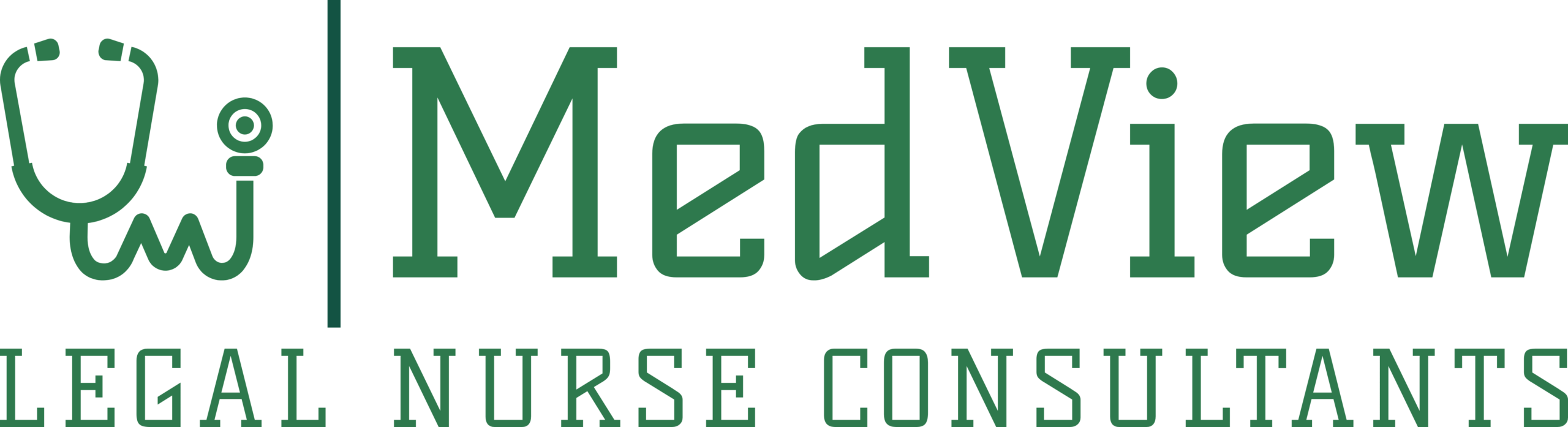 MedView, Legal Nurse Consultants